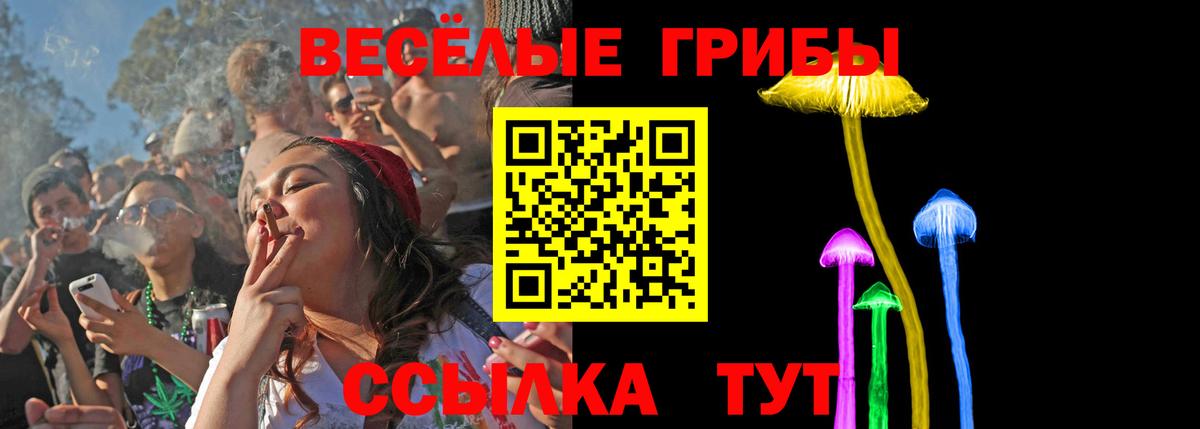 Галлюциногенные грибы мицелий  Вход с VPN  купить  сайты  Галлюциногенные грибы GOLDEN TEACHER  Мценск 